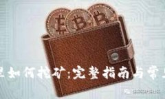 在TP钱包里如何挖矿：完整指南与常见问题解析