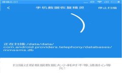 如何在TP钱包中添加其他公链：详细教程与注意事