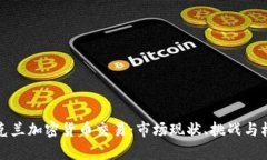 乌克兰加密货币交易：市场现状、挑战与机遇